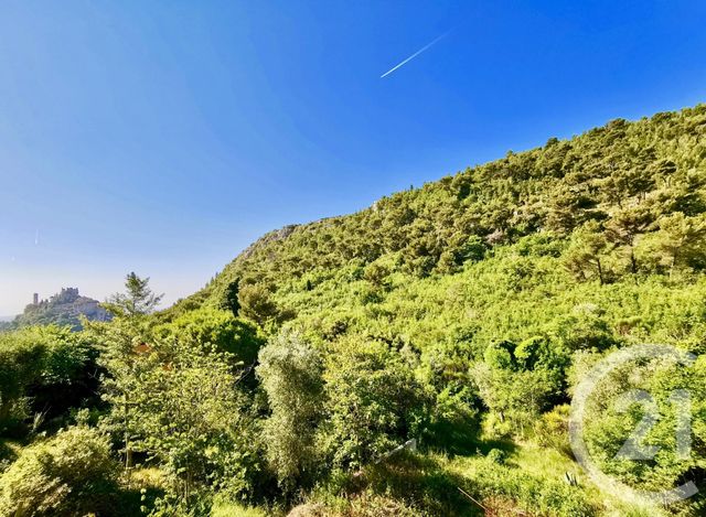 Afficher la photo en grand Appartement F2 à vendre - 2 pièces - 41.0 m2 - EZE - 06 - PROVENCE-ALPES-COTE-D-AZUR - Century 21 Agence Gastaldy