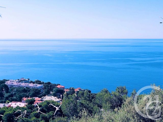 Afficher la photo en grand Appartement à vendre - 2 pièces - 27.3 m2 - CAP D AIL - 06 - PROVENCE-ALPES-COTE-D-AZUR - Century 21 Agence Gastaldy