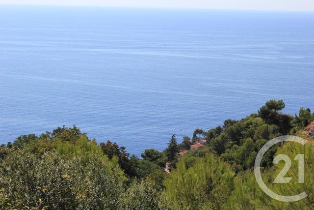 terrain à vendre - 1500.0 m2 - EZE - 06 - PROVENCE-ALPES-COTE-D-AZUR - Century 21 Agence Gastaldy