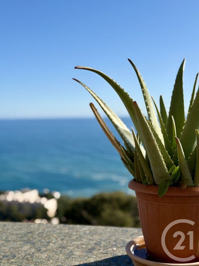 Appartement T2 à vendre - 2 pièces - 35.01 m2 - CAP D AIL - 06 - PROVENCE-ALPES-COTE-D-AZUR - Century 21 Agence Gastaldy